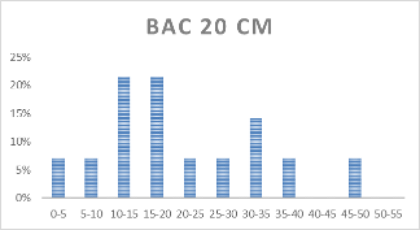 Distribution des classes de taille sur l'ensemble des 3 lots (+20cm / +40cm / +60cm)