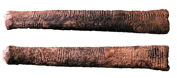 Os d'Ishango, datant d'environ - 20 000 ans, découvert sur les berges du lac Edouard entre l'Ouganda et la république démocratique du Congo