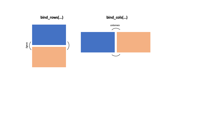 Schéma explicatif des fonctions bind_rows et bind_cols