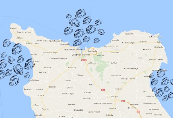Exemple de population cible : La population d'huitre creuse (*Magalina gigas*) du Nord Cotentin