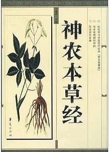 Shennong goûtant une herbe médicinale ; les protubérances sur son crâne rappellent qu’on lui prêtait une tête de bovidé, la collerette de feuilles son rôle d’herboriste (www.art.com)