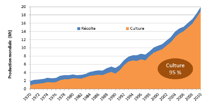 Evolution de la production mondiale d’algues entre 1970 et 2010