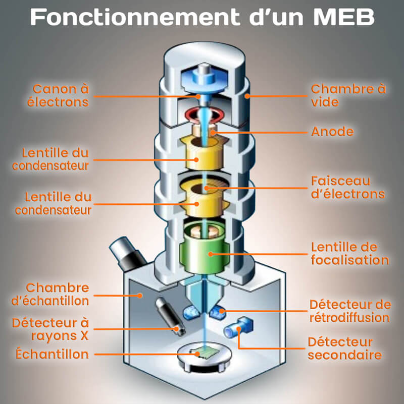 Description d'un microscope optique