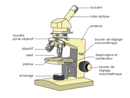 Description d'un microscope optique